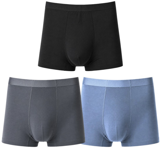 AnderSon&Polo 安德森保羅 冰絲紫杉醇抗菌內褲三入