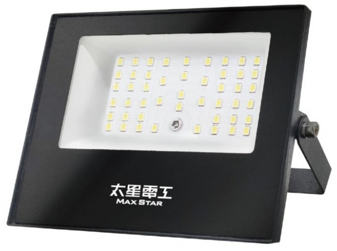 MAX STAR 太星電工 LED防水投射燈 全電壓 IP65 30W 2400lm WDA3030 6000K 正白光, 1個