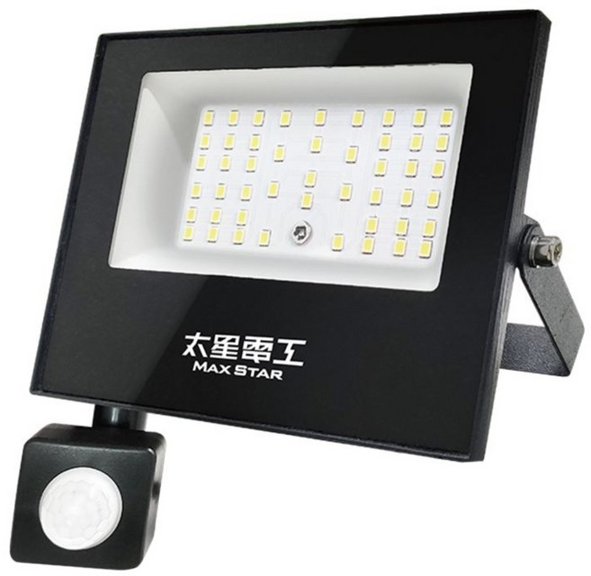 MAX STAR 太星電工 LED感應投射燈 全電壓 IP44 30W 2400lm WDC3030 6000K 正白光, 1個