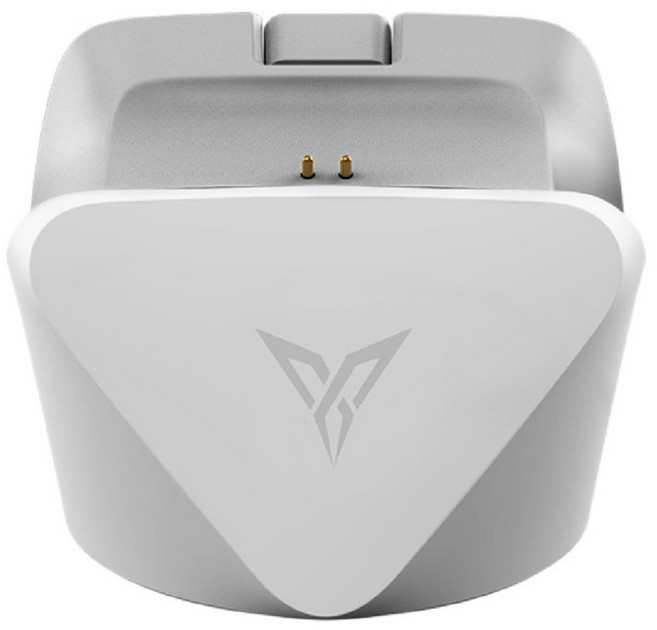 FLYDIGI 飛智 手把充電底座2 適用冰原狼4 星環灰 Charging Dock 2 1個