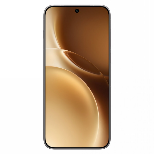 vivo X300 Pro 12G, 沙漠棕, 256GB