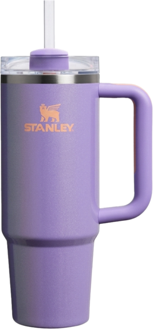 STANLEY 台灣公司貨 冒險系列 吸管隨手杯2.0, 星際紫, 880ml, 1個