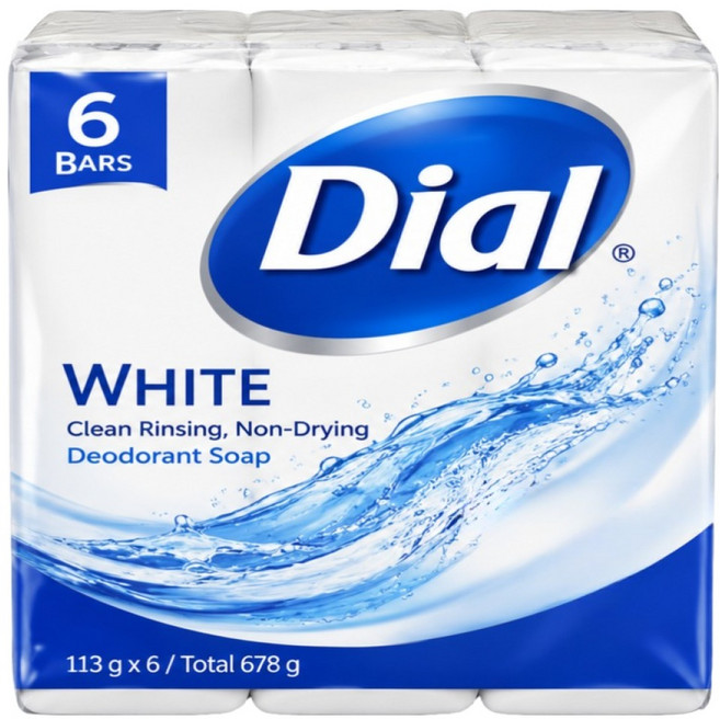Dial 豐富泡沫亮白淨味香皂, 113g, 6個