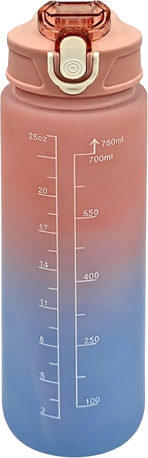 FANCY LIFE 磨砂運動水壺, 漸層粉, 750ml, 1個