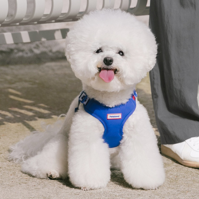 PETSLAND 狗狗愛心X型胸背帶, 1個, 流行藍