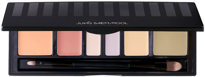 JUNG SAEM MOOL 彩妝師專業6色遮瑕盤 6.6g, Blend, 1入