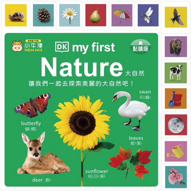 DK-my first Nature 大自然 厚紙書 1~10歲, 幼兒繪本, 小牛津