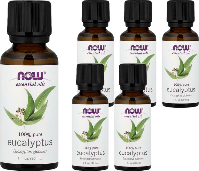 NOW Foods 純尤加利精油, 藍膠尤加利, 30ml, 6瓶