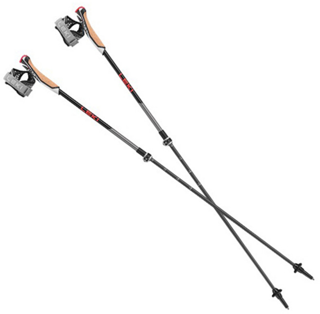 LEKI Instructor Light 北歐式健走杖 653 26341, 混合色, 1套
