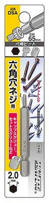 新龜SUNFLAG 單頭內六角起子頭 附磁 DSA-10.0 65mm, 1個