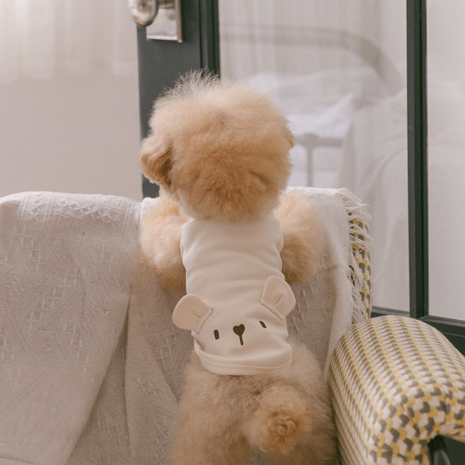 PETSLAND 寵物 I'm Bear T恤, 1個, 象牙白