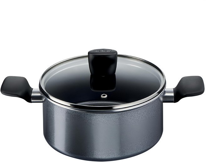 Tefal 特福 Home Cook系列 IH雙耳湯鍋, 20cm, 灰色, 1個