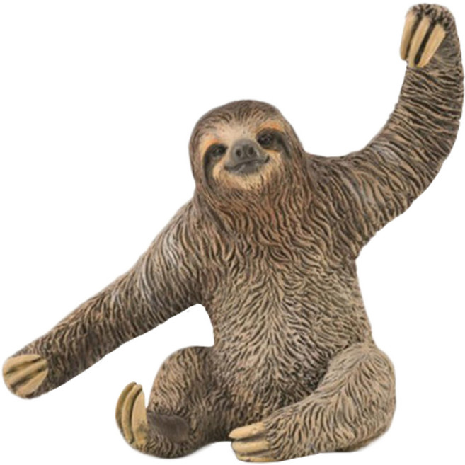 COLLECTA 動物模型玩具 3歲以上適用, 樹懶, 1個
