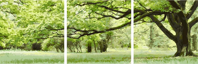 ARTJOY DIY數字油畫 三聯式 50x50cm, 綠意盎然, 1組