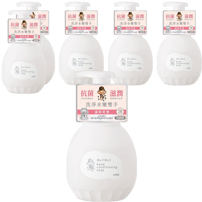 LION 獅王 趣淨 敏弱肌專用洗手慕斯 溫和皂香, 450ml, 6件