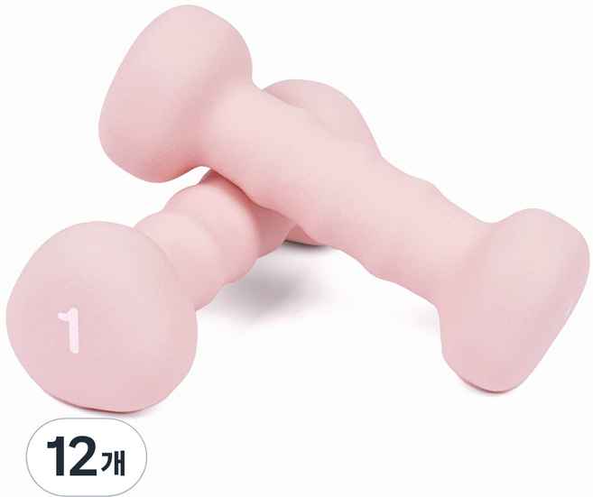 comet 防滑三角啞鈴, 1kg, 12個