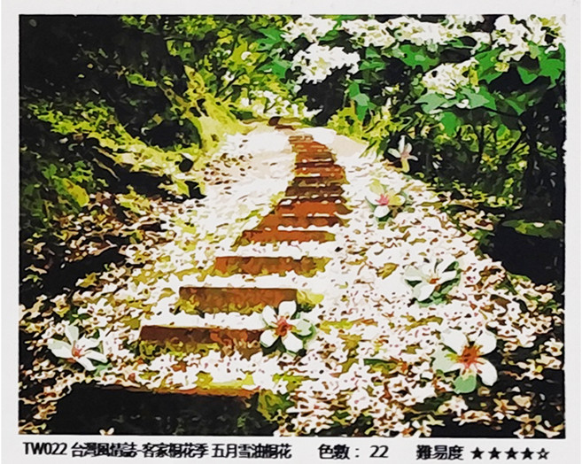 ArtLife 藝術生活 數字油畫 TW022 50 x 40cm, 五月雪油桐花, 1組
