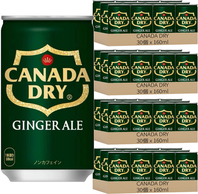 CANADA DRY 薑汁汽水, 160ml, 120個