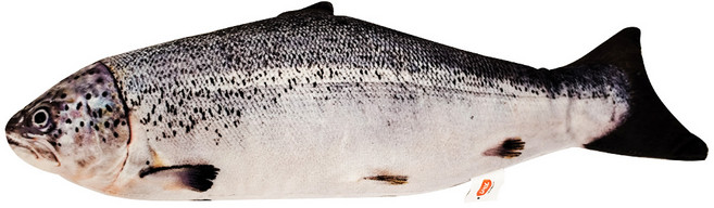 Smack 日本正宗鮭魚 木天蓼紓壓枕 貓用 10.5*32cm, 鮭魚, 1個