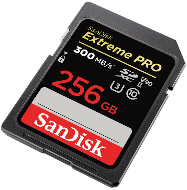 SanDisk 晟碟 公司貨 Extreme Pro SDXC 300MB/s 記憶卡, 256GB, 1個