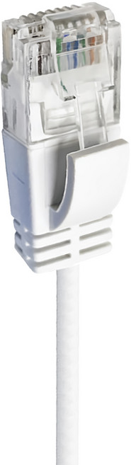POLYWELL 寶利威爾 CAT6 極細網路線 PW15-W58-Q020, 白色, 1條, 2m