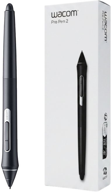 專業感應筆 黑色 Pro Pen 2 1支