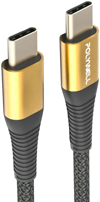 POLYWELL 寶利威爾 USB Type-C 100W 公對公快充線 充電線 編織線 可充筆電 安卓 平板 PW15-W45-A305, 2m, 金色, 1條