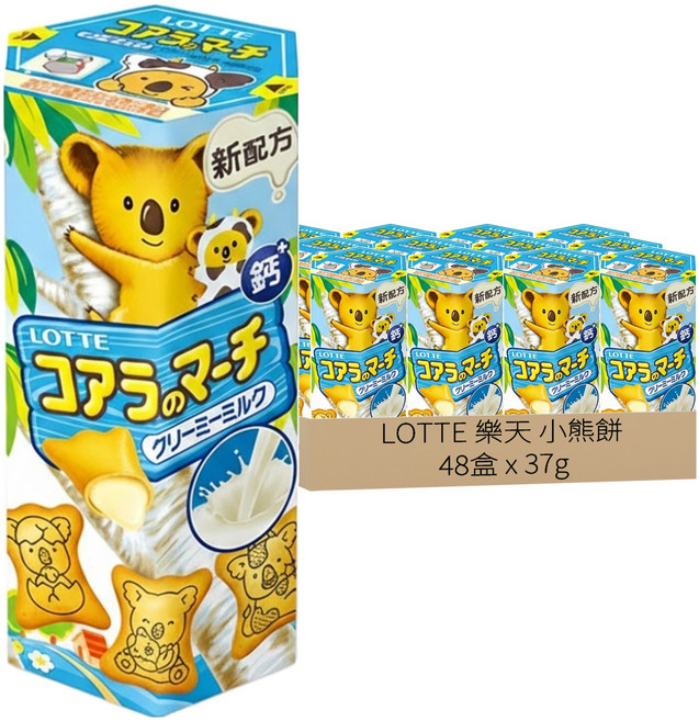 LOTTE 樂天 小熊餅 牛奶風味, 37g, 48盒
