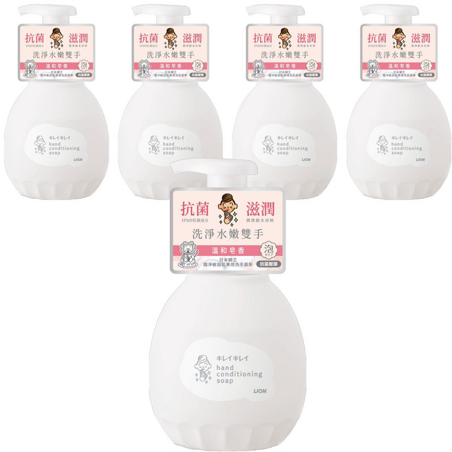 LION 獅王 趣淨 敏弱肌專用洗手慕斯 溫和皂香, 450ml, 5件