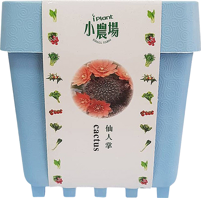 台灣 iPlant 積木農場盆栽 仙人掌 12.5 x 12.5 x 14cm