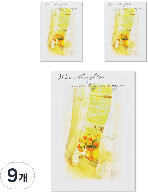 Hallmark 多用途空白卡片, C6828, 9個, 9套