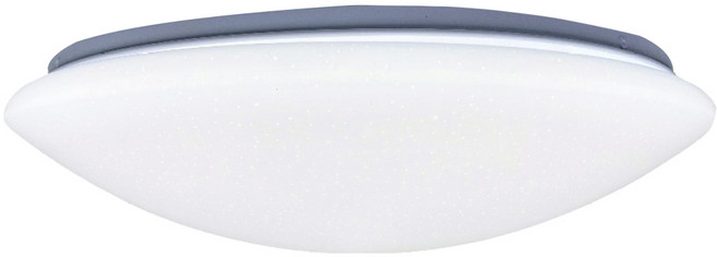 TRUNK 壯格 LED 遙控調光調色吸頂燈 50W 1個, 閃耀星空 白色