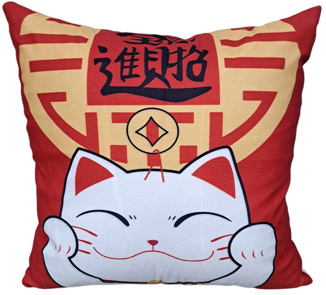 年節創意抱枕, 招財進寶