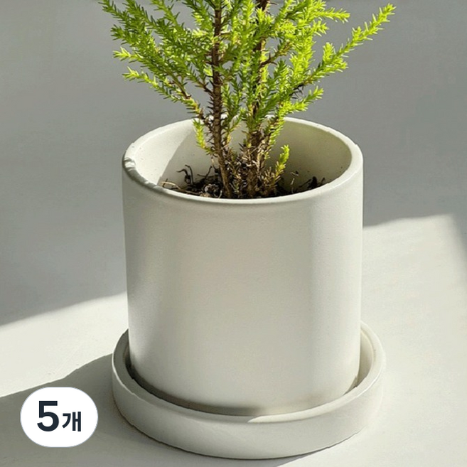 ENVIE CASA 霧面簡約花盆 + 託盤組, 白色, 5個