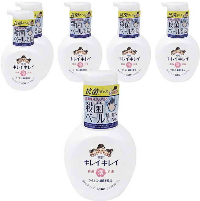 LION 獅王 趣淨 抗菌洗手慕斯 柑橘, 250ml, 6瓶