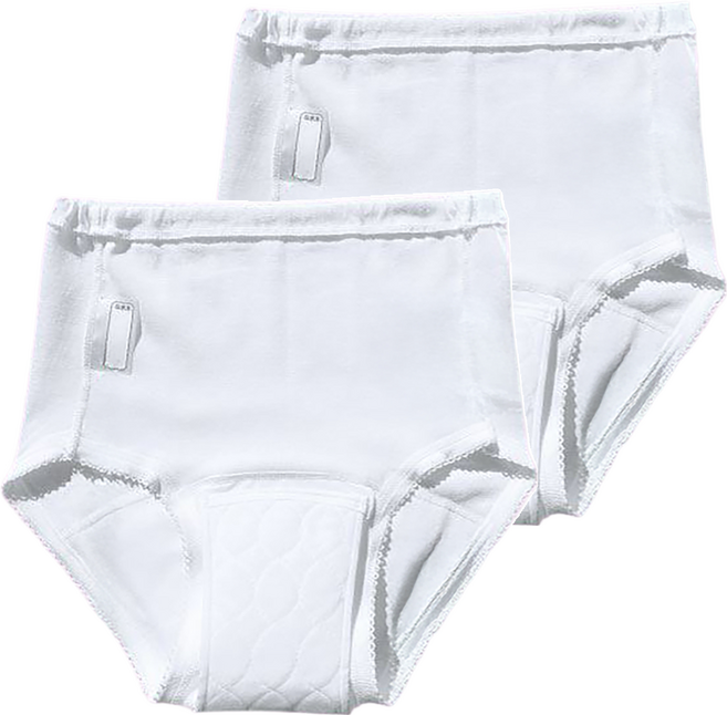 gunze グンゼ 女用 漏尿用內褲, LL, 1件, 2件