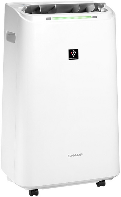 SHARP 夏普 12L 除濕機 自動除菌離子 有輪子 白色 DW-LT12ST-W