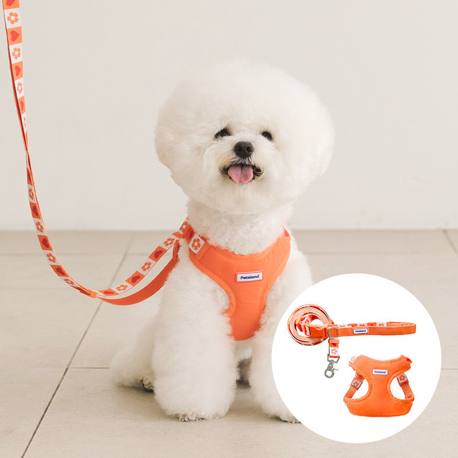 PETSLAND 狗狗愛心pop胸背帶+免持牽繩組, 1組, 橙色