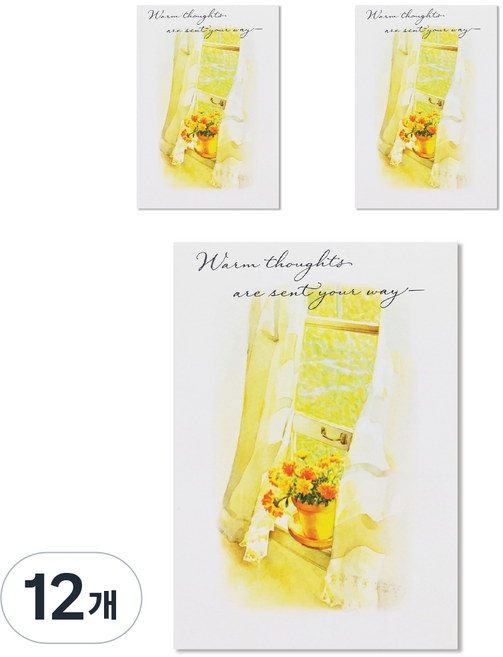 Hallmark 多用途空白卡片, C6828, 12個, 12套
