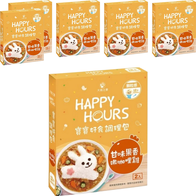 Happy Hours 寶寶好食調理包甘味果香嫩咖哩雞, 300g, 6套