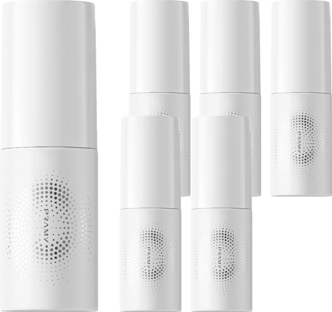 PRAMY 柏瑞美 台灣公司貨 長效保濕定妝噴霧 水光亮面, 6個, 30ml