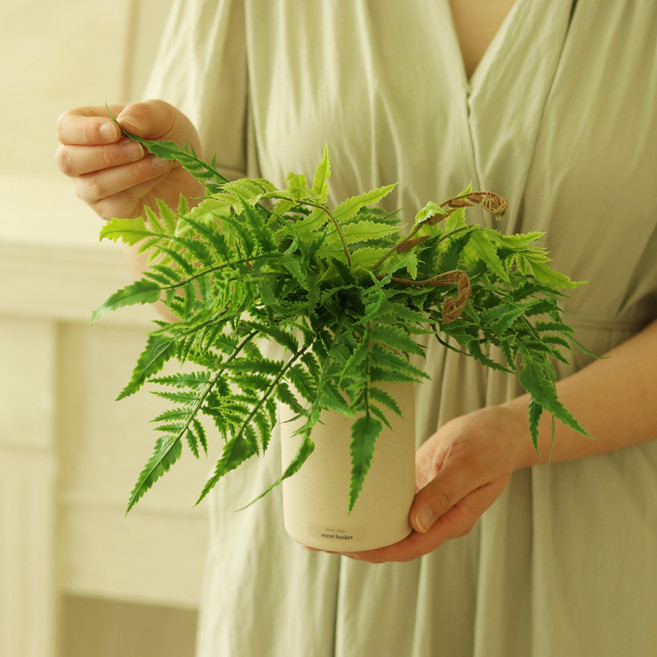 Scent Basket 人造熱帶綠色植物 + 沙瓶套組, 1套, Lumora