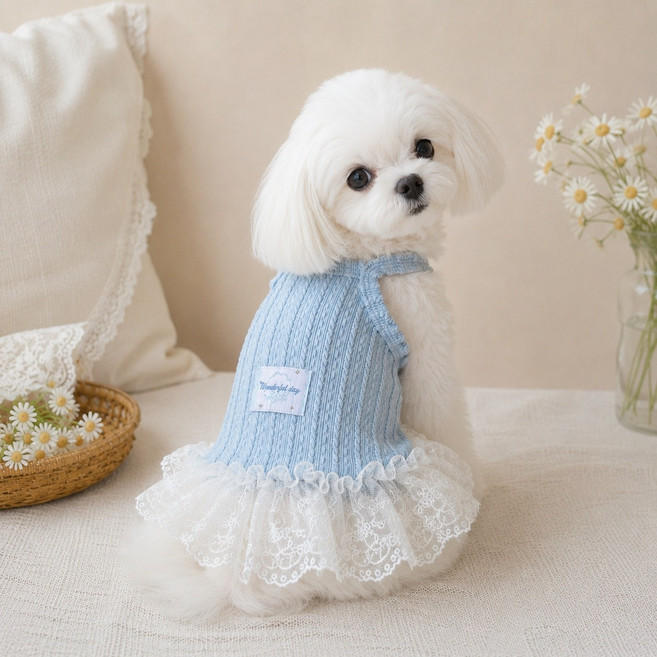 Coco studio 狗狗日常涼感Coco Wonderful麻花蕾絲連身裙, 1個, 天空藍