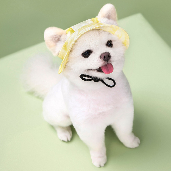 Pick&Pet 寵物極光波浪遮陽帽, 黃色, 1個