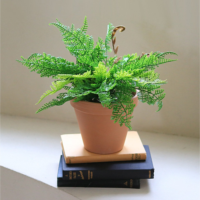 Scent Basket 熱帶綠人造植物 + 花盆組 蕨類蕨, 1個, 混合色