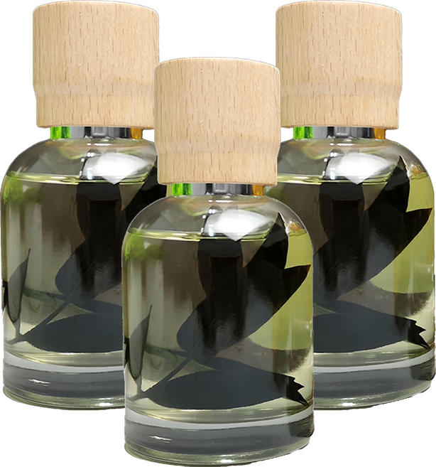 財神小舖 香氛擴香瓶 NUC-1001-1, 竹煙入墨, 100ml, 3件