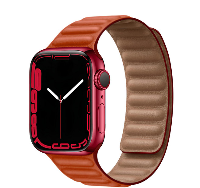 OMG Apple Watch 10 皮質鏈式磁吸錶帶 46mm, 丹霞色, 1個
