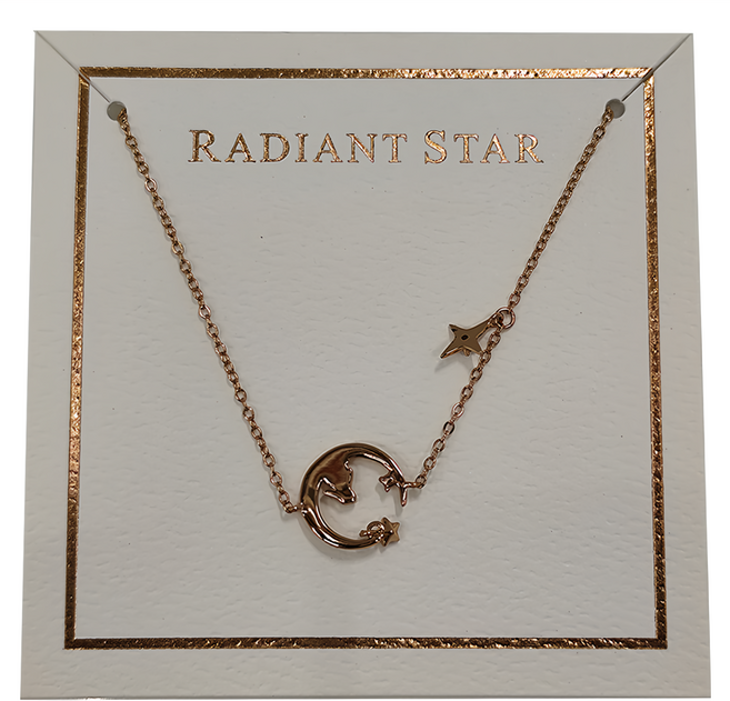 RADIANT STAR 璀璨之星 925純銀 觀星旅途清新兔子月亮星星項鍊手鍊