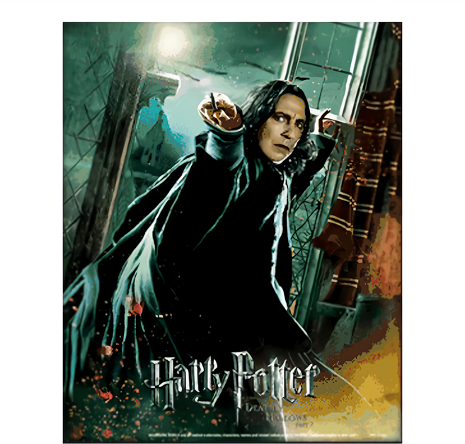Harry Potter 哈利波特 石內卜 撕淌三步殺 含框3D海報 黑色 28.3 x 23.2 x 4cm