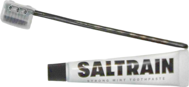 SALTRAIN 強效薄荷牙膏牙刷旅行組 黑色, 30g, 1個
